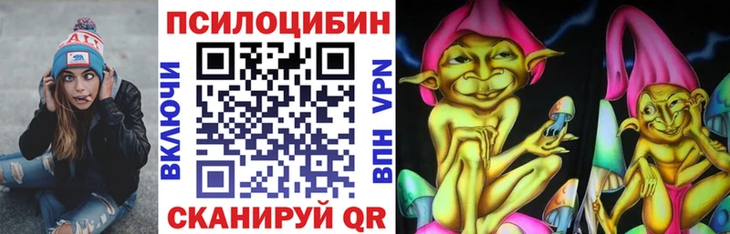цены   Райчихинск  Псилоцибиновые грибы Psilocybine cubensis 